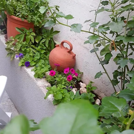 Appartement With Parking Space Okrug Gornji, Ciovo - 22795 *